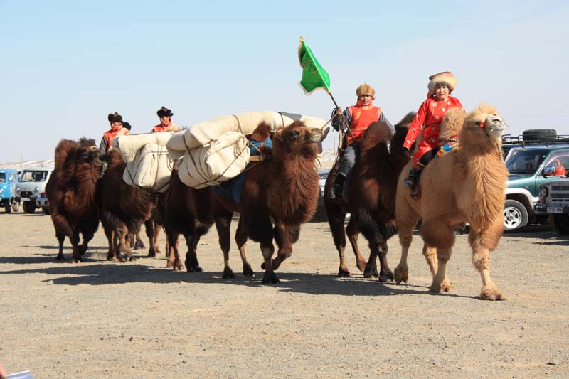 camel festival mongolia